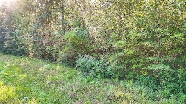 TBD Timbergrove, Livingston, TX 77351