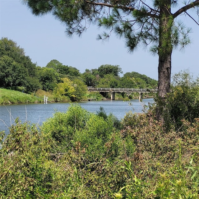 0 Robinson Rd, Hitchcock, TX 77536 - photo 7