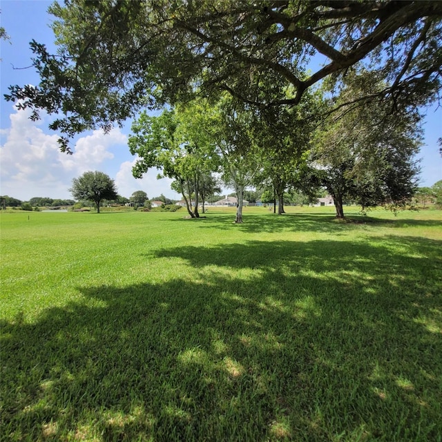 0 Robinson Rd, Hitchcock, TX 77536 - photo 3