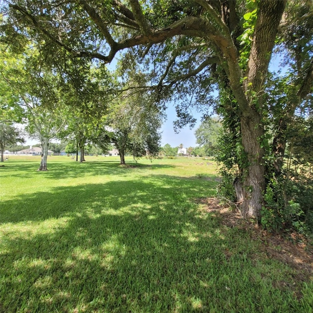0 Robinson Rd, Hitchcock, TX 77536 - photo 9
