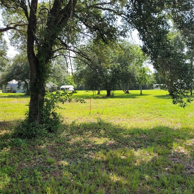 0 Robinson Rd, Hitchcock, TX 77536 - photo 8