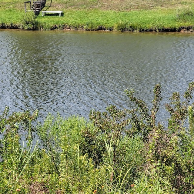0 Robinson Rd, Hitchcock, TX 77536 - photo 5