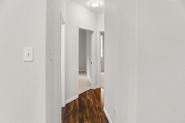 23753 Briar Tree Dr, Porter, TX 77365 - corridor with dark wood-style floors and baseboards