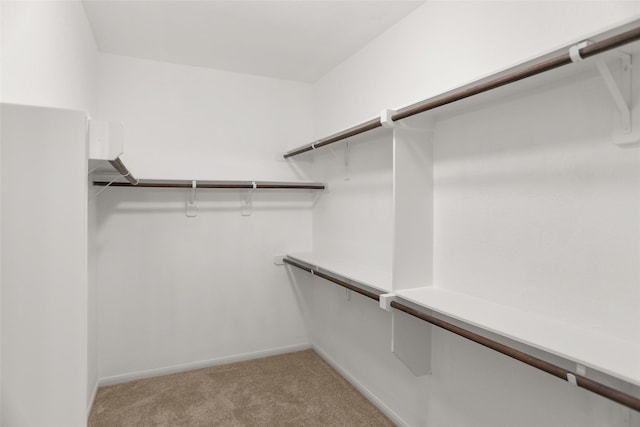 23753 Briar Tree Dr, Porter, TX 77365 - spacious closet with light colored carpet