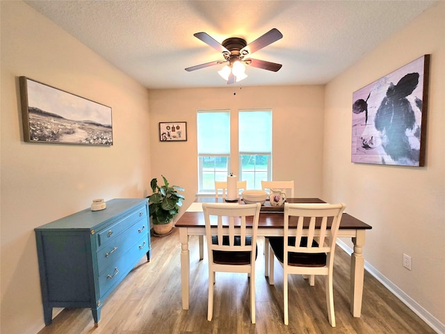 110 Red Bud St, Shepherd, TX 77371 - dining area featuring wood finished floors, a ceiling fan, and a textured ceiling