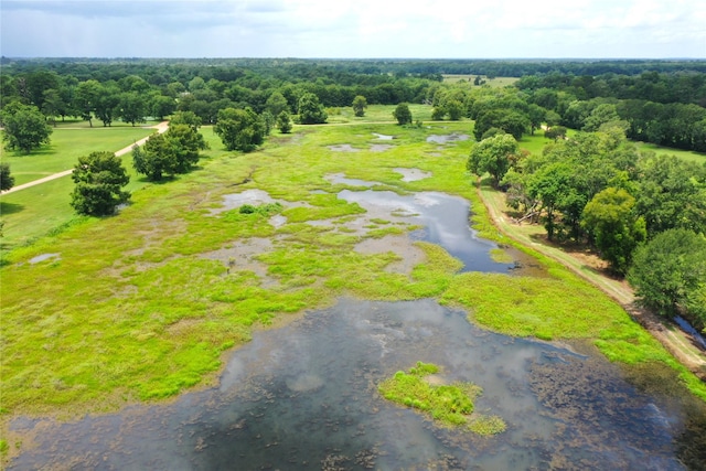 110 Red Bud St, Shepherd, TX 77371 - drone / aerial view