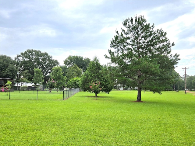 110 Red Bud St, Shepherd, TX 77371 - view of home's community
