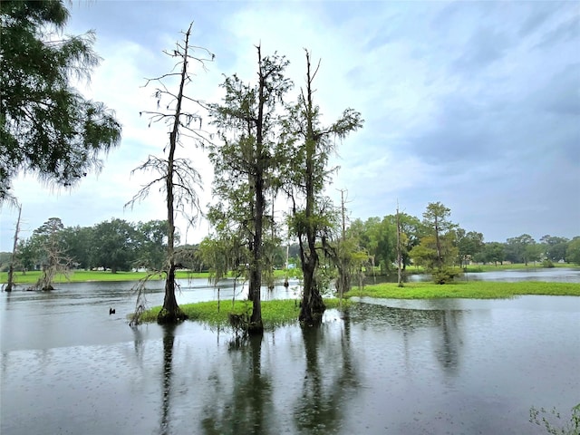 110 Red Bud St, Shepherd, TX 77371 - water view