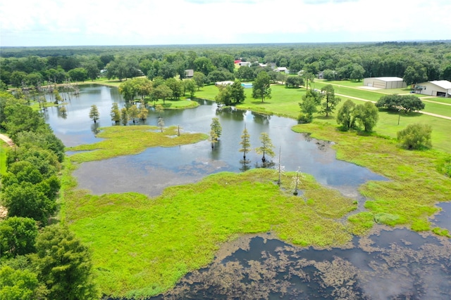 110 Red Bud St, Shepherd, TX 77371 - bird's eye view of a large body of water and a forest