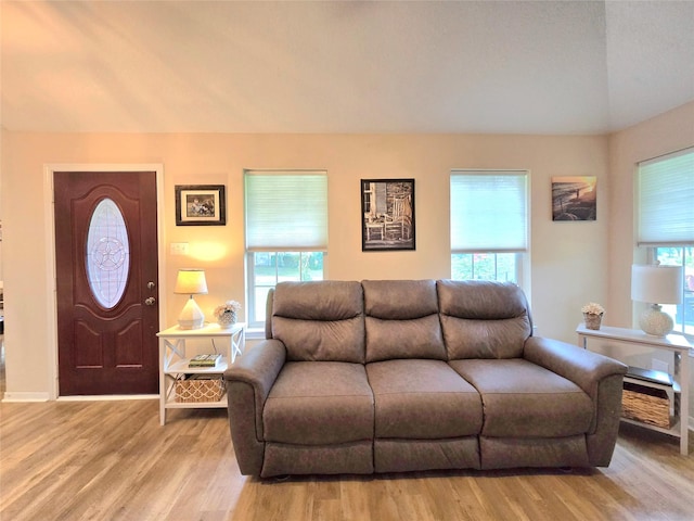 110 Red Bud St, Shepherd, TX 77371 - living room featuring light wood-type flooring