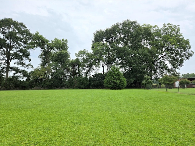 110 Red Bud St, Shepherd, TX 77371 - view of yard