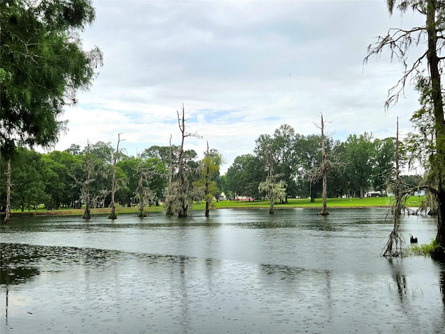 110 Red Bud St, Shepherd, TX 77371 - water view featuring a tree filled landscape
