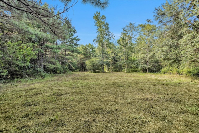 20860 Julie Ln, Montgomery, TX 77356 - photo 2
