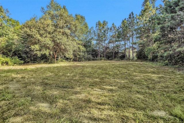 20860 Julie Ln, Montgomery, TX 77356 - photo 3