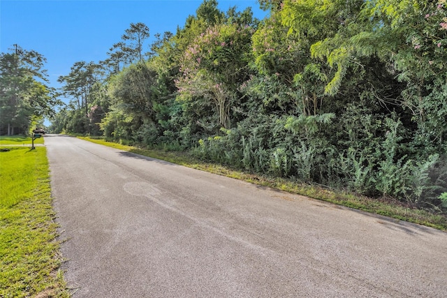 20860 Julie Ln, Montgomery, TX 77356 - photo 14