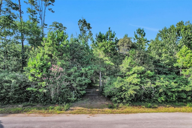 20860 Julie Ln, Montgomery, TX 77356 - photo 13