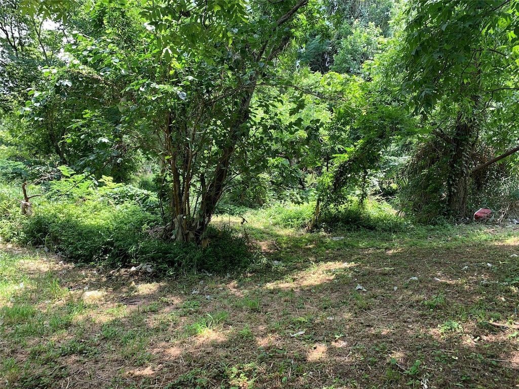 31110 Goldenrod Ln, Magnolia, TX 77354 - photo 2