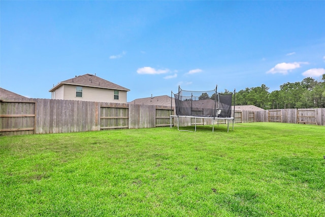 22172 Umbria Hills Dr, New Caney, TX 77357 - photo 5