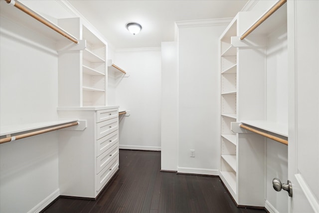 1101 Tabor St, Houston, TX 77009 - walk in closet with dark wood-type flooring