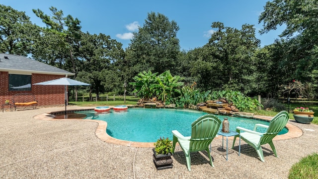 32210 Mink Creek Ct, Magnolia, TX 77355 - view of swimming pool featuring view of scattered trees and a patio area