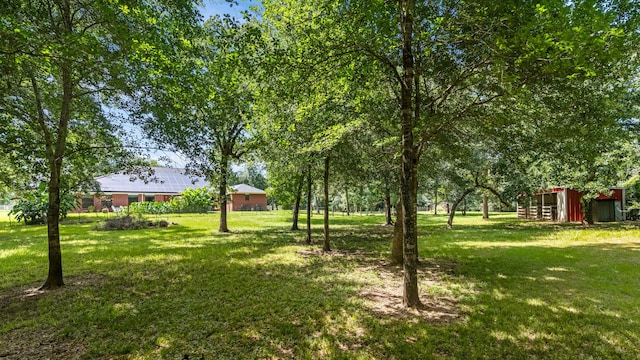 32210 Mink Creek Ct, Magnolia, TX 77355 - view of green lawn with an outdoor structure