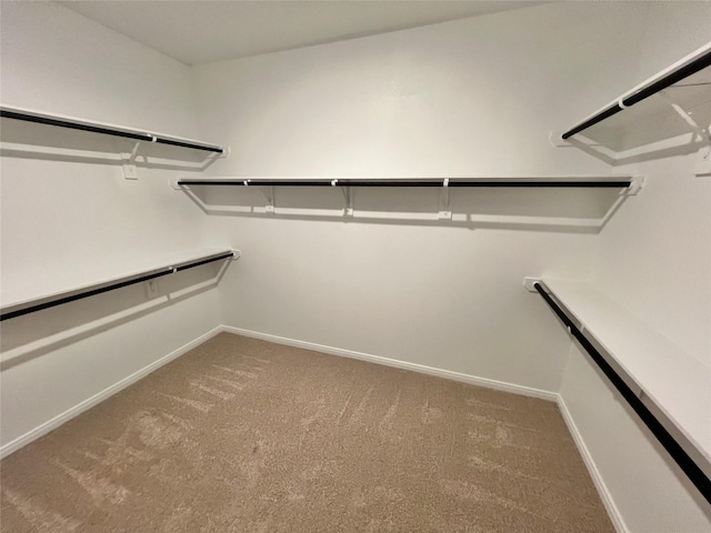 5 Seminole Ct, West Columbia, TX 77486 - walk in closet featuring carpet floors