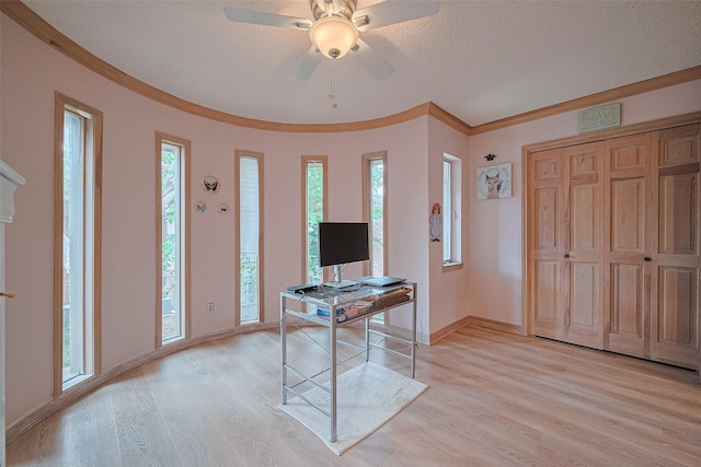 674 S Ripple Creek Dr Unit 674, Houston, TX 77057 - entrance foyer featuring light wood-type flooring, crown molding, and ceiling fan