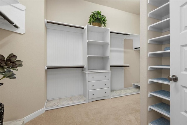 18135 Berry Garden Ln, Spring, TX 77379 - walk in closet with carpet floors