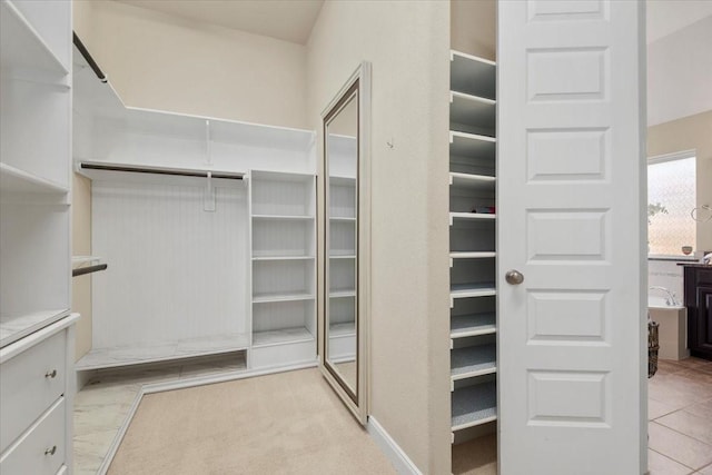 18135 Berry Garden Ln, Spring, TX 77379 - view of spacious closet