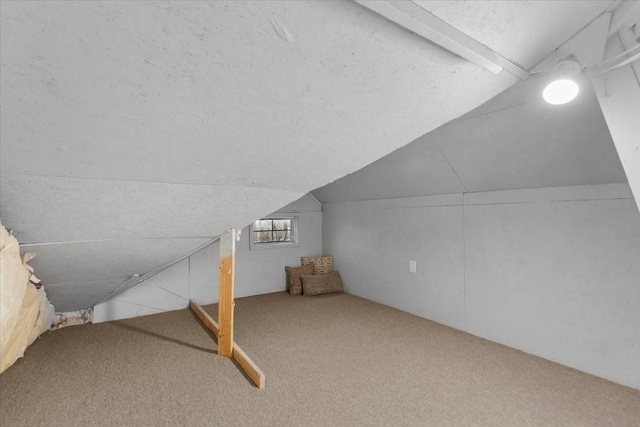 18135 Berry Garden Ln, Spring, TX 77379 - additional living space featuring carpet floors and vaulted ceiling
