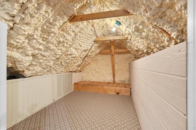 18135 Berry Garden Ln, Spring, TX 77379 - view of attic