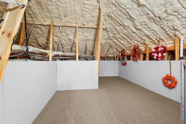 18135 Berry Garden Ln, Spring, TX 77379 - view of attic