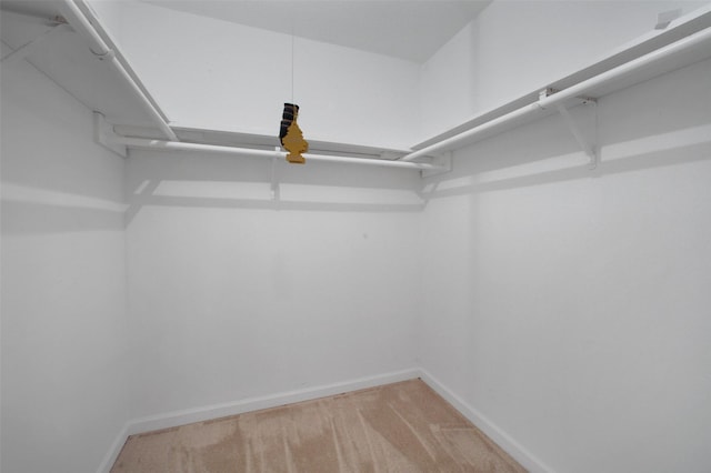 15815 Baytree Dr, Houston, TX 77070 - spacious closet featuring light carpet