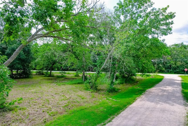 8519 Maywald St, Manvel, TX 77578