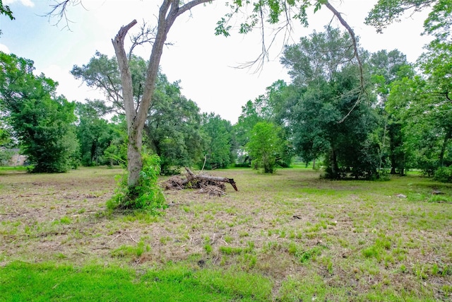 8519 Maywald St, Manvel, TX 77578
