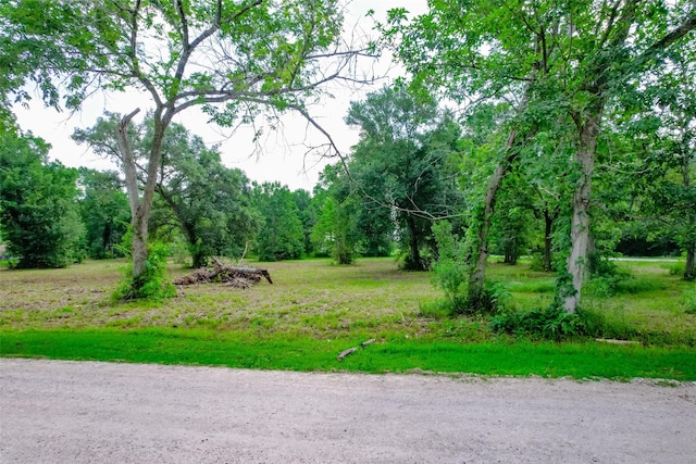 8519 Maywald St, Manvel, TX 77578