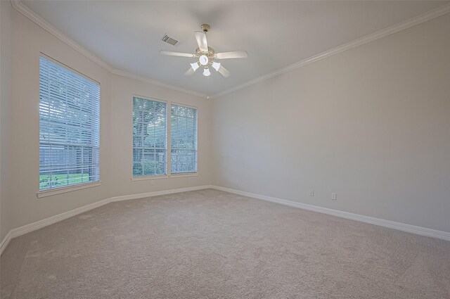 1902 Rosebay Ct, Sugar Land, TX 77479 - photo 17