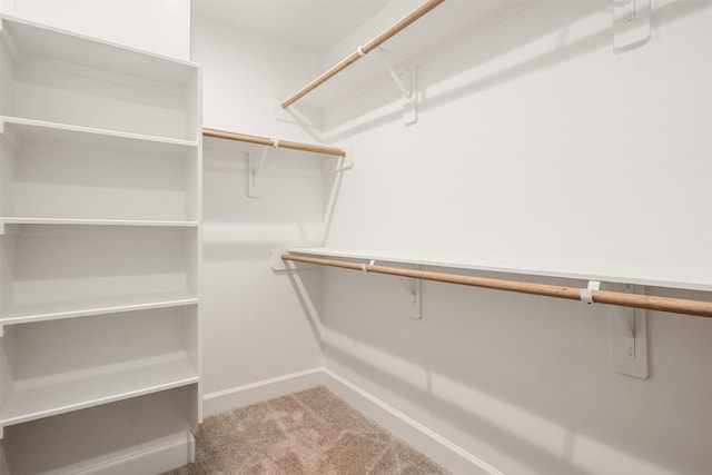 882 Prosper St, Houston, TX 77088 - spacious closet featuring carpet flooring