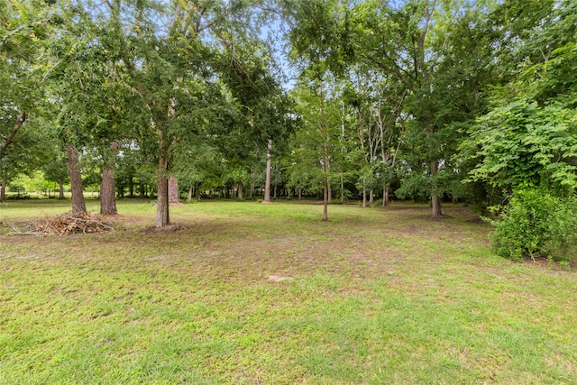 9528 Gates Loop, Manvel, TX 77578 - photo 20