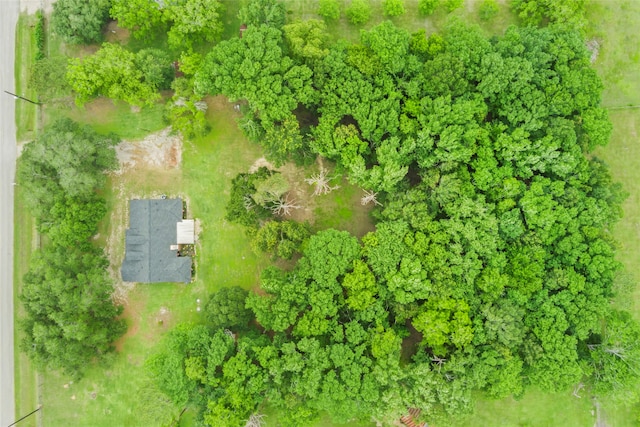 9528 Gates Loop, Manvel, TX 77578 - photo 21