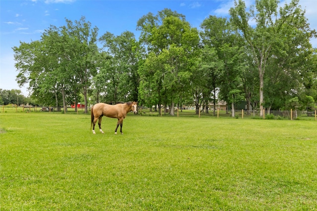9510 Gates Loop, Manvel, TX 77578 - photo 13