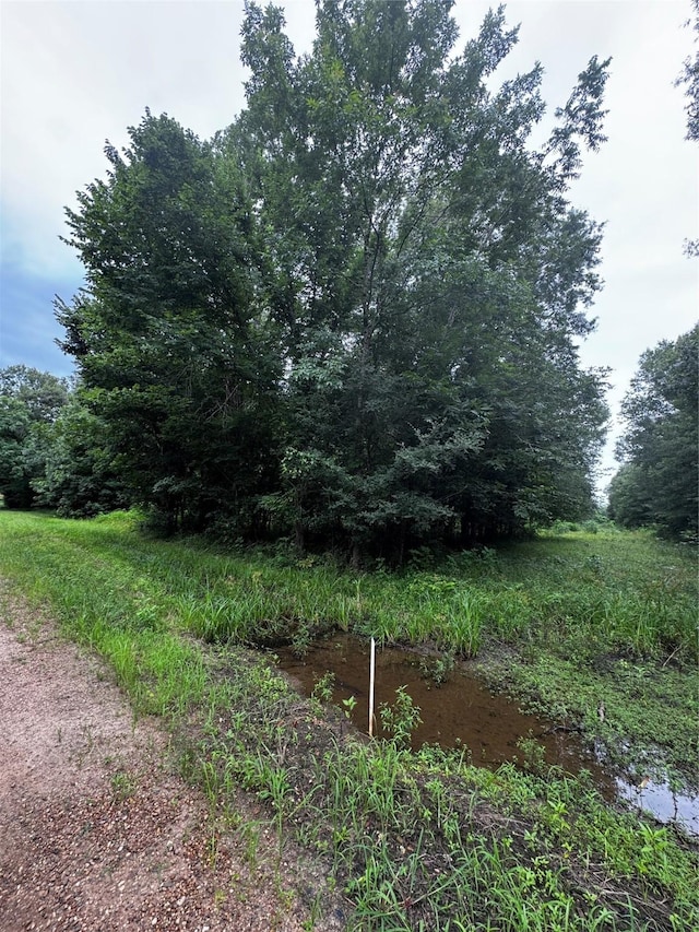 TBD County Road 2853, Cleveland, TX 77327 - photo 2