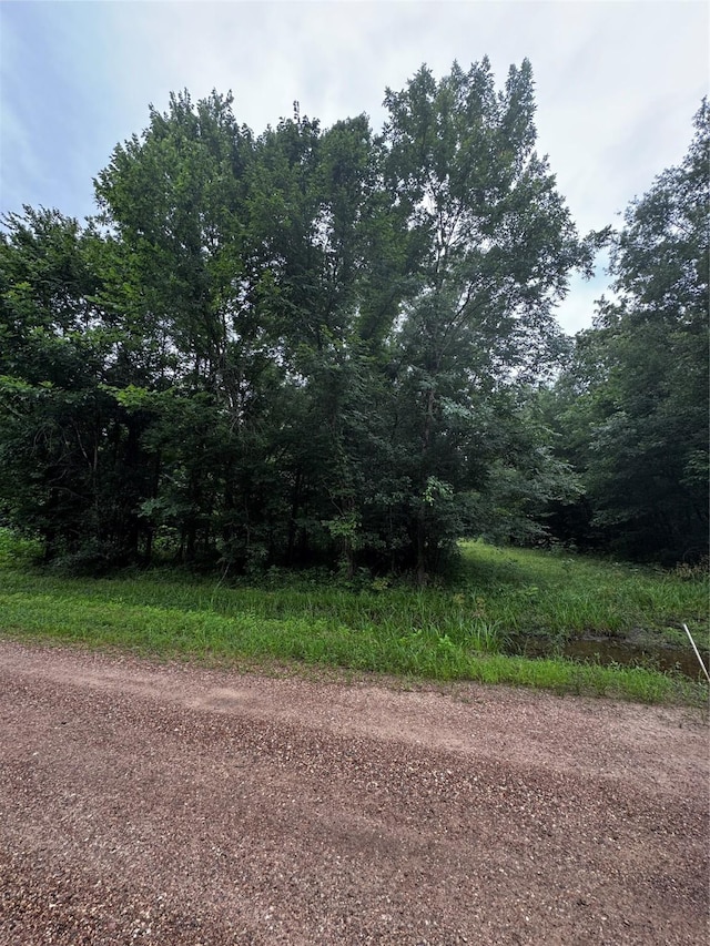 TBD County Road 2853, Cleveland, TX 77327 - photo 4