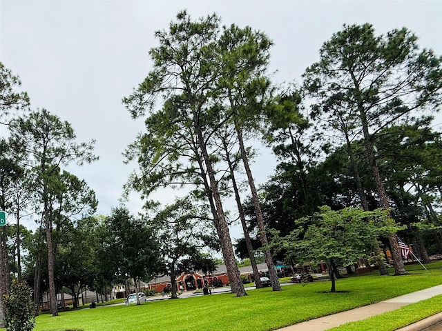 2147 Heather Green Dr, Houston, TX 77062 - view of property's community featuring a yard