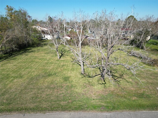 409 Carlton St, Brazoria, TX 77422 - photo 1