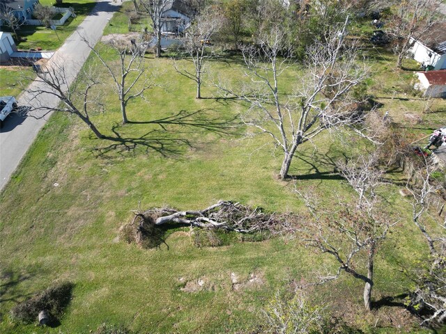 409 Carlton St, Brazoria, TX 77422 - photo 2