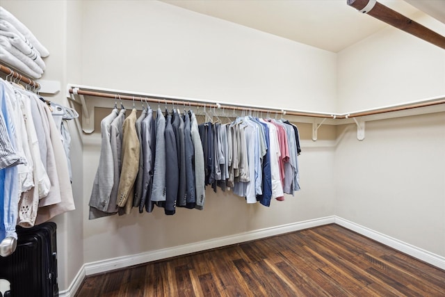 28842 Thornbird Ct, Katy, TX 77494 - spacious closet featuring radiator and wood finished floors