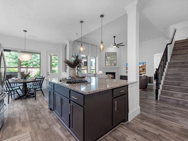 10515 Trinity Springs Dr, Cypress, TX 77433 - kitchen with stainless steel appliances, a ceiling fan, a lit fireplace, wood finished floors, and open floor plan