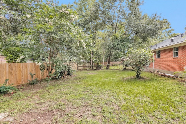 117 N Forest Dr, Willis, TX 77378 - photo 18