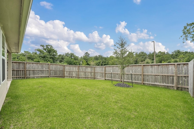18529 Meadow Point Ln, Montgomery, TX 77316 - view of fenced backyard